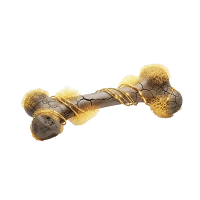 Imagen PNG para descargar